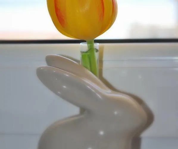 Appartement Veselko Makarska