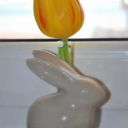 Apartman Veselko Makarska