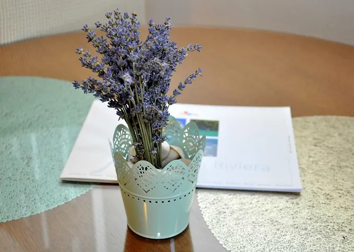 Veselko 马卡尔斯卡